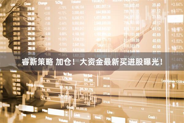 睿新策略 加仓！大资金最新买进股曝光！
