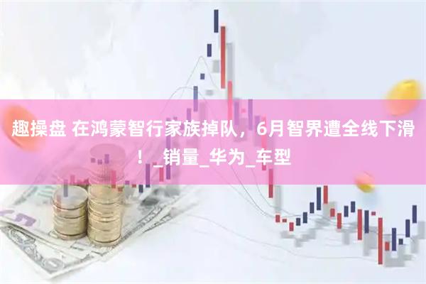 趣操盘 在鸿蒙智行家族掉队，6月智界遭全线下滑！_销量_华为_车型