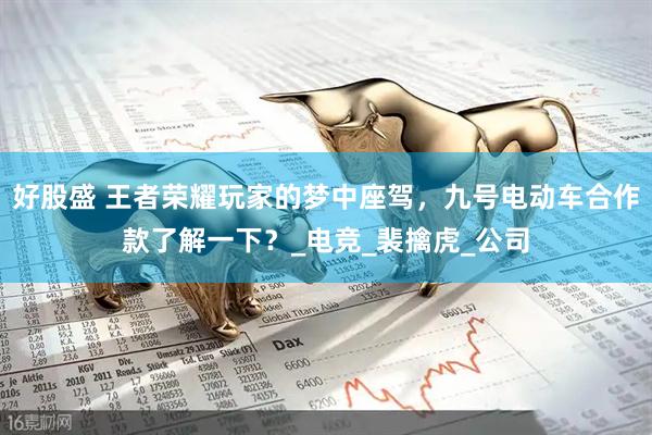 好股盛 王者荣耀玩家的梦中座驾，九号电动车合作款了解一下？_电竞_裴擒虎_公司