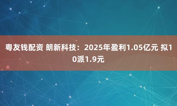 粤友钱配资 朗新科技：2025年盈利1.05亿元 拟10派1.9元