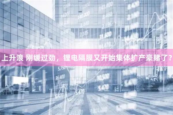 上升浪 刚缓过劲，锂电隔膜又开始集体扩产豪赌了？