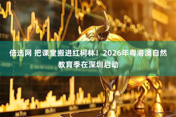 倍选网 把课堂搬进红树林！2026年粤港澳自然教育季在深圳启动